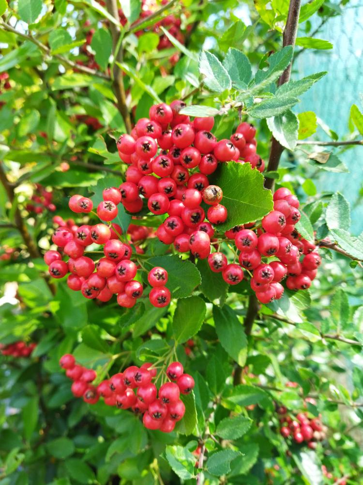 blog-image